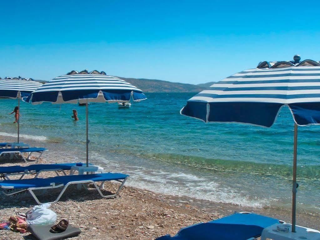 Hotel Venetia Ireo  Bagian luar foto